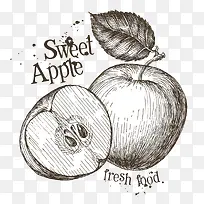 手绘素描苹果