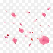 创意粉红色的玫瑰花花瓣漂浮元素