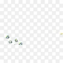 简洁小草草丛