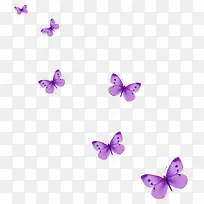 漂浮紫色蝴蝶飞舞