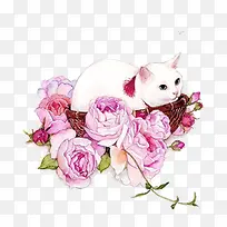 白猫与花