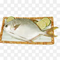鲳鱼PNG图片