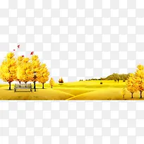 秋天黄色唯美风景图