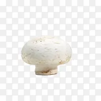 一颗新鲜的口蘑高清图片