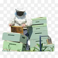 收集蜂蜜的人