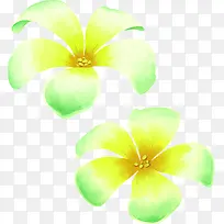 春天黄绿色漂浮花朵手绘装饰