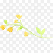 水彩黄绿色花朵藤蔓背景
