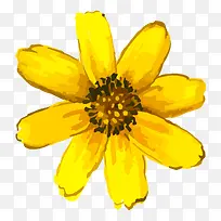 手绘水彩黄色大花朵