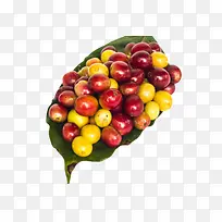 红绿色一堆成熟的咖啡果实物