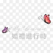 婚礼进行时文字