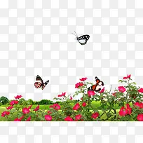春季绿草红花背景效果