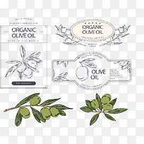 橄榄油植物标签