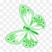 春天绿色蝴蝶动物