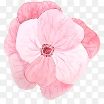 卡通花瓣免抠png装饰