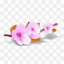 粉色桃花枝桠装饰图案