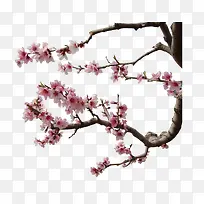 一枝桃花