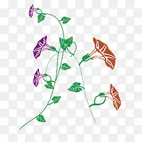 紫色和红色的牵牛花