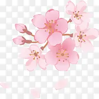 手绘桃花花朵装饰