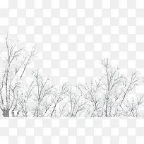 冰天雪地灰色大树