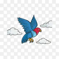 空中飞翔的蓝色鹦鹉
