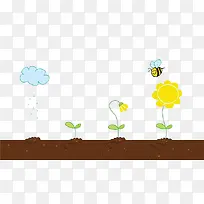 小蜜蜂与植物生长过程