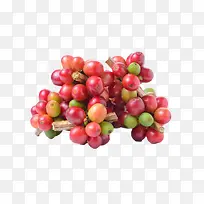 红色一堆成熟的咖啡果实物