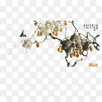猕猴桃树素材图片