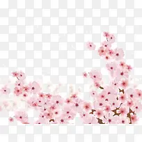 手绘粉色梅花樱花