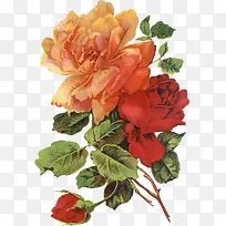 卡通手绘装饰玫瑰花素材