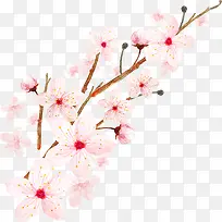 手绘粉色桃花花卉