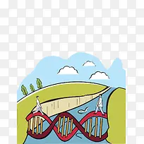 DNA桥梁插图