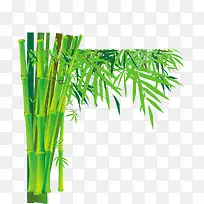 青色的竹子