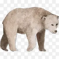 手绘白色水彩北极熊