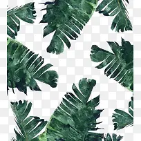水彩墨绿色芭蕉叶