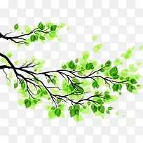 绿色树叶树枝矢量图