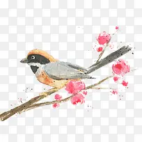 手绘春天小鸟插画素材