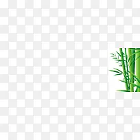 绿色植物，竹子，竹叶，竹树