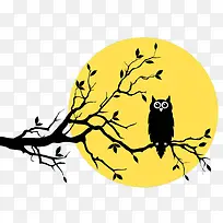 树枝上的猫头鹰
