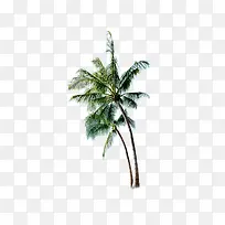 沙滩椰子树简约图片