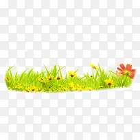 绿色的草和小花