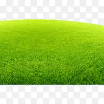 绿色茂盛一片草地