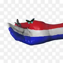 荷兰国旗手绘创意蝴蝶图案