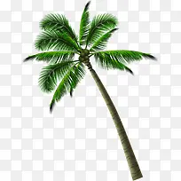 创意摄影海边沙滩上的绿色椰子树