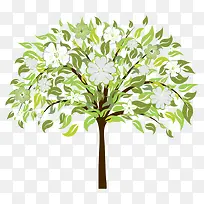 树 树木 木
