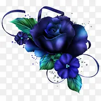 漂亮蓝色玫瑰花