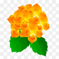 金银花