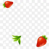 精美水果清新草莓