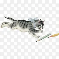 手绘水彩猫抓铅笔