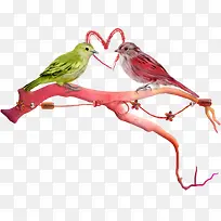 情人节爱心情侣鸟
