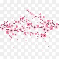粉红梅花树枝